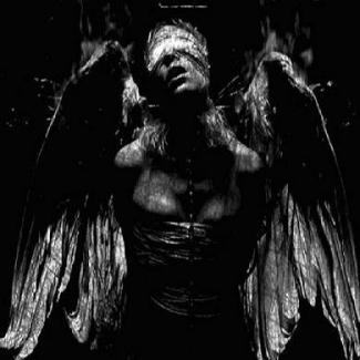 Straw Wings