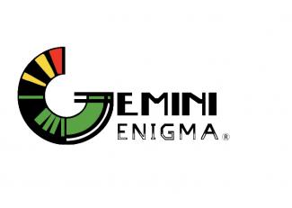 Gemini Enigma