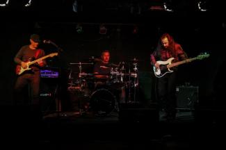 Plook Live