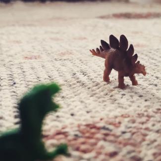 Tiny Dinosaur